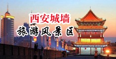 啊啊啊啊操我小骚逼视频中国陕西-西安城墙旅游风景区
